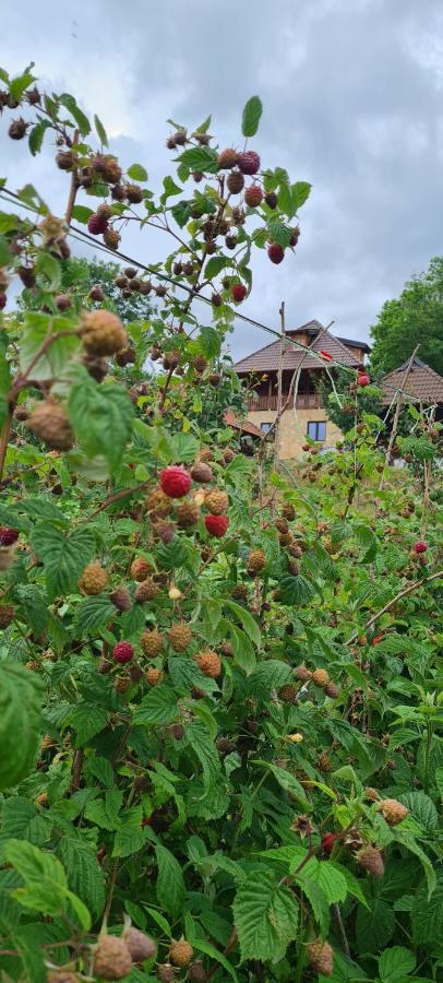 Rankovi Konaci Villa Zlatibor Exterior foto