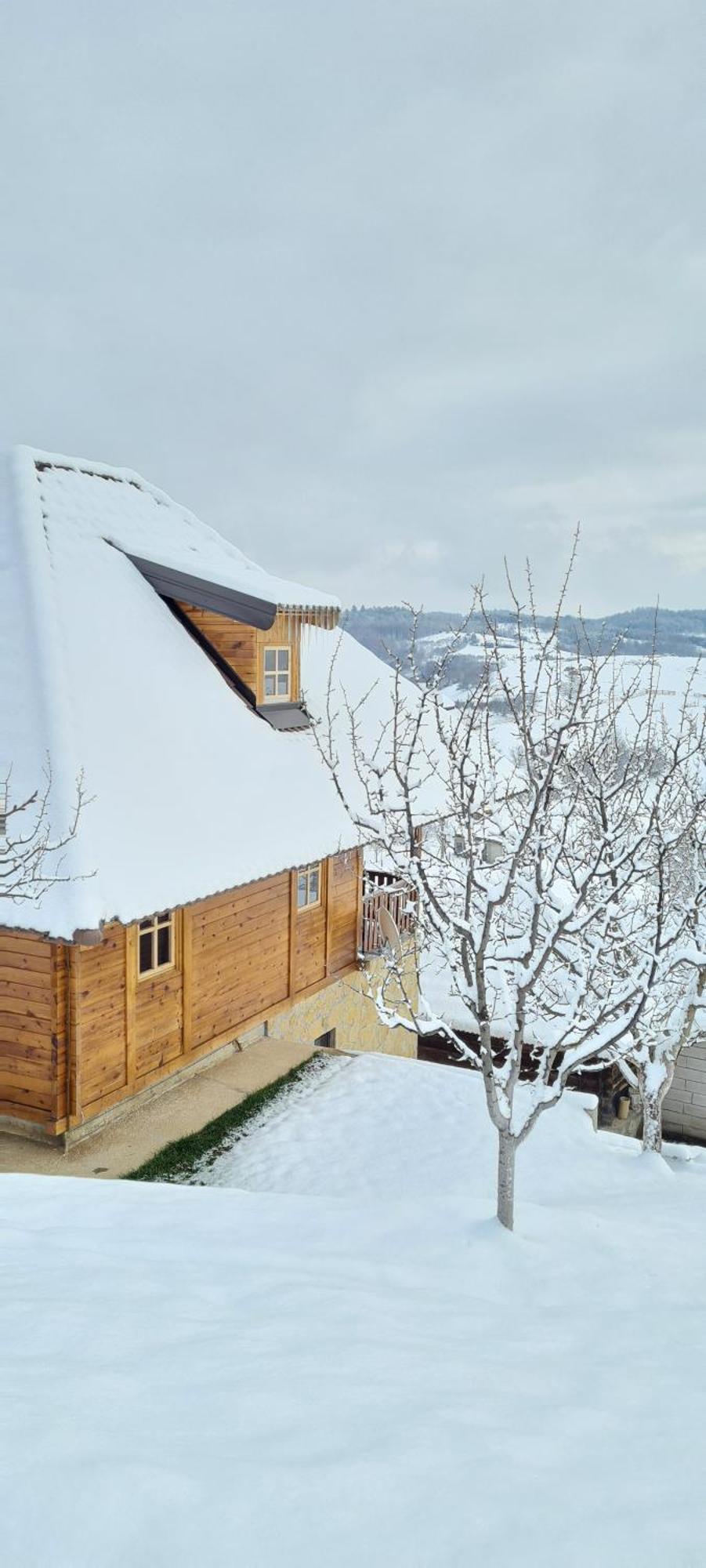 Rankovi Konaci Villa Zlatibor Habitación foto